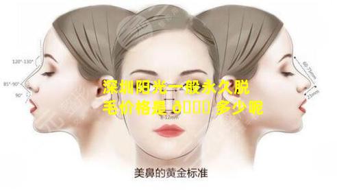 深圳阳光一般永久脱毛价格是 🐕 多少呢